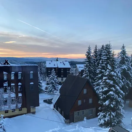 Snow Pine Jahorina