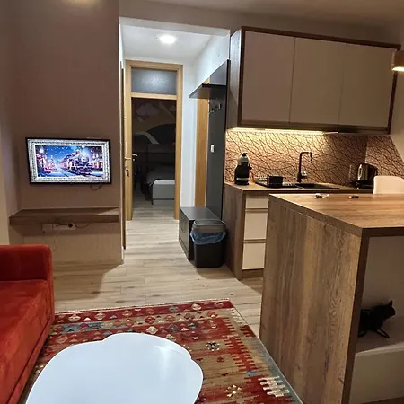 Apartament Snow Pine *